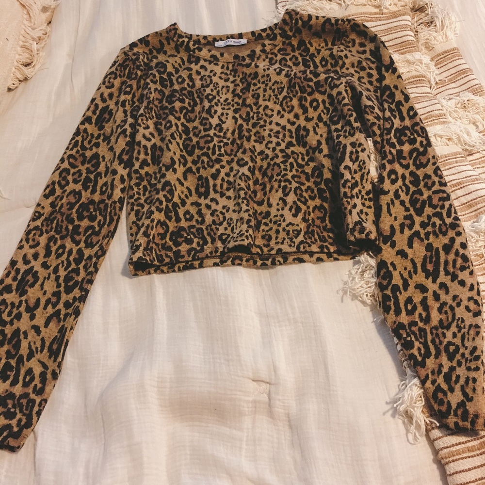 Cheetah print cropped sweater